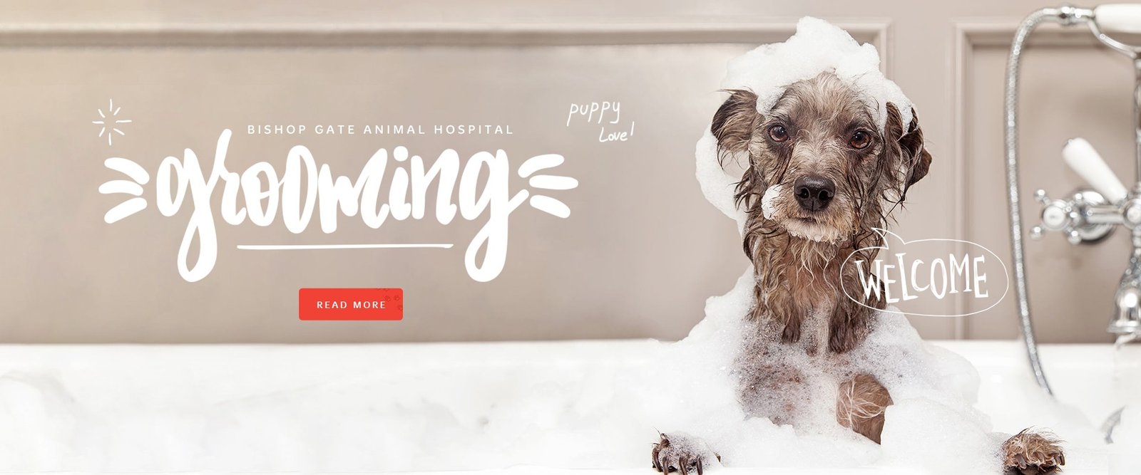 Home Bishopgate Animal Hospital